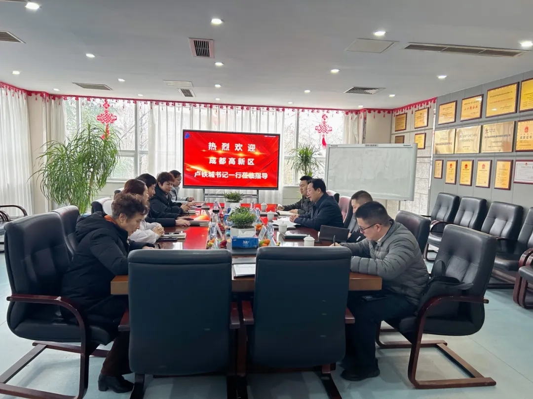 Secretary Lu Tiecheng Visits DKT Energy for Investigation and Exchange